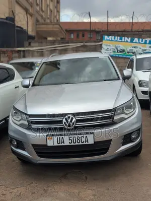 Volkswagen Tiguan 2014 Gray
