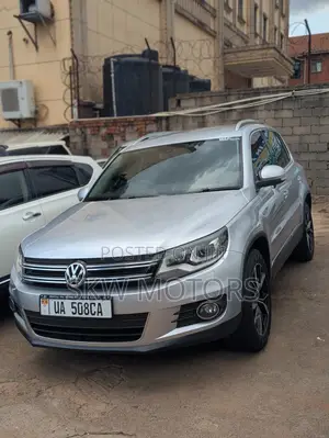 Volkswagen Tiguan 2014 Gray