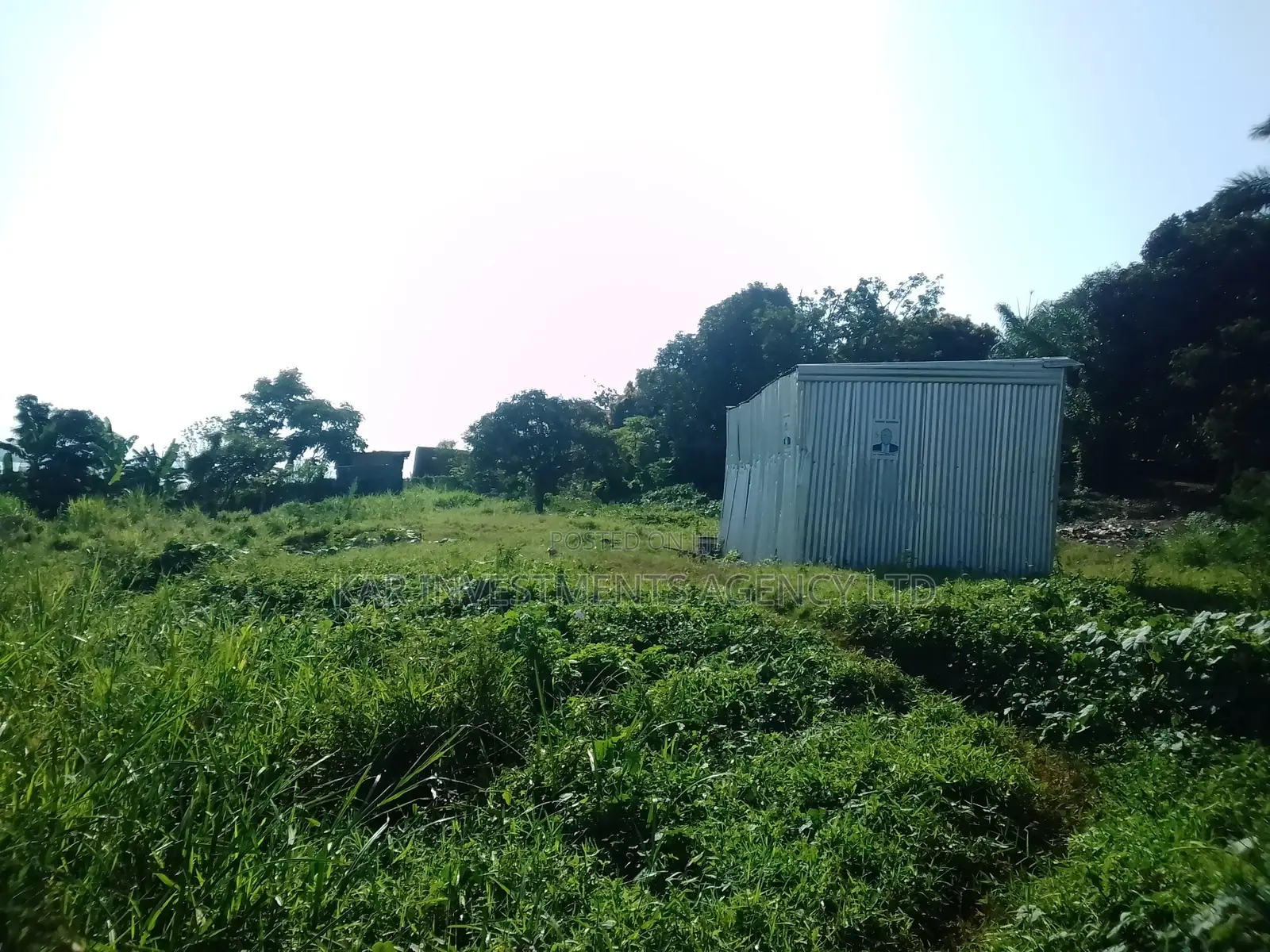 Land for Sale