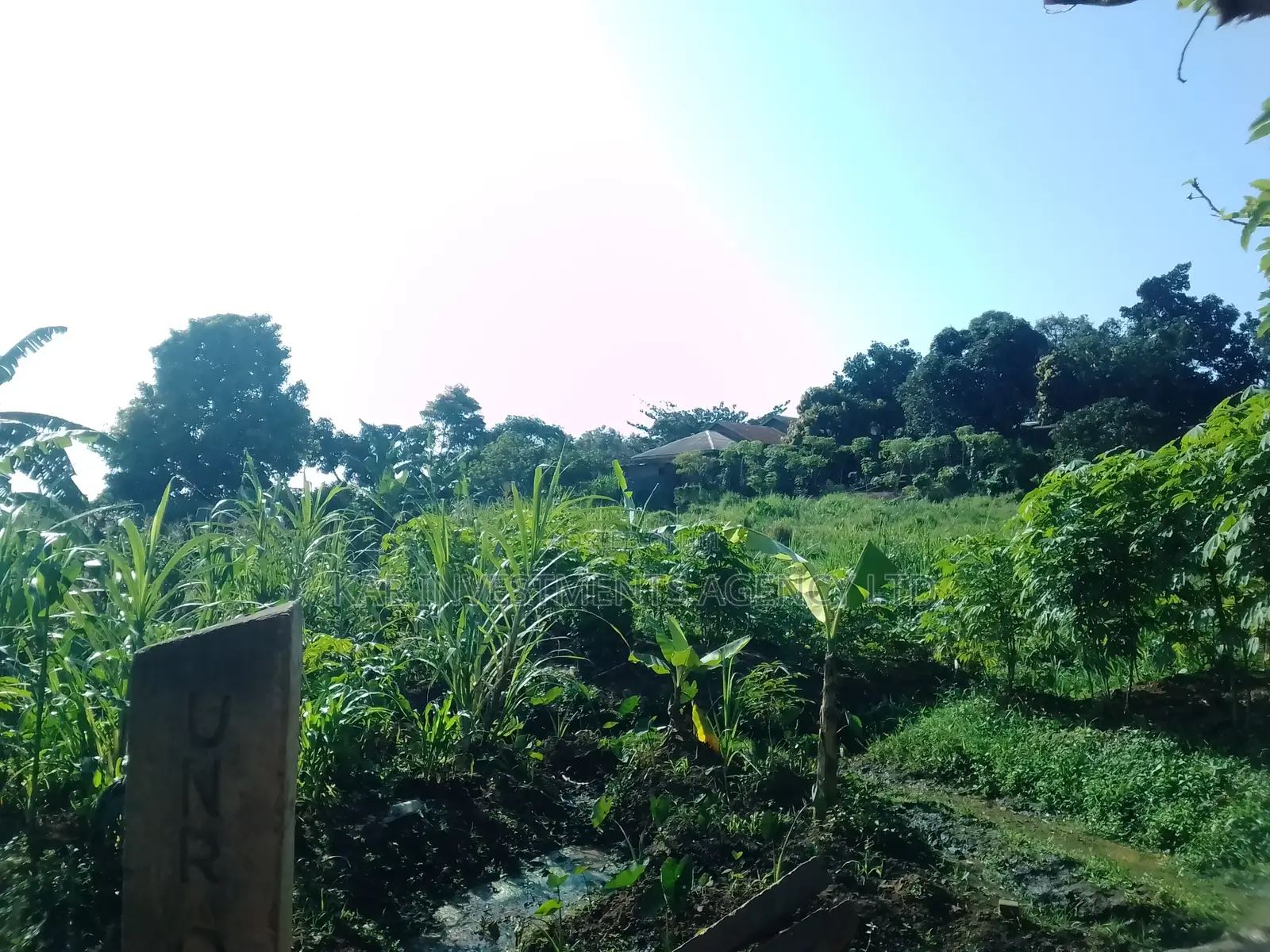 Land for Sale