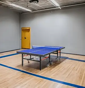 Unique Foldable Tennis Table