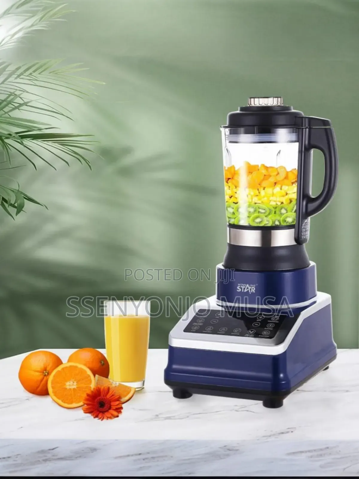 Winning Star Blender Touchcontrol Professional St-5574-800w-1.75l