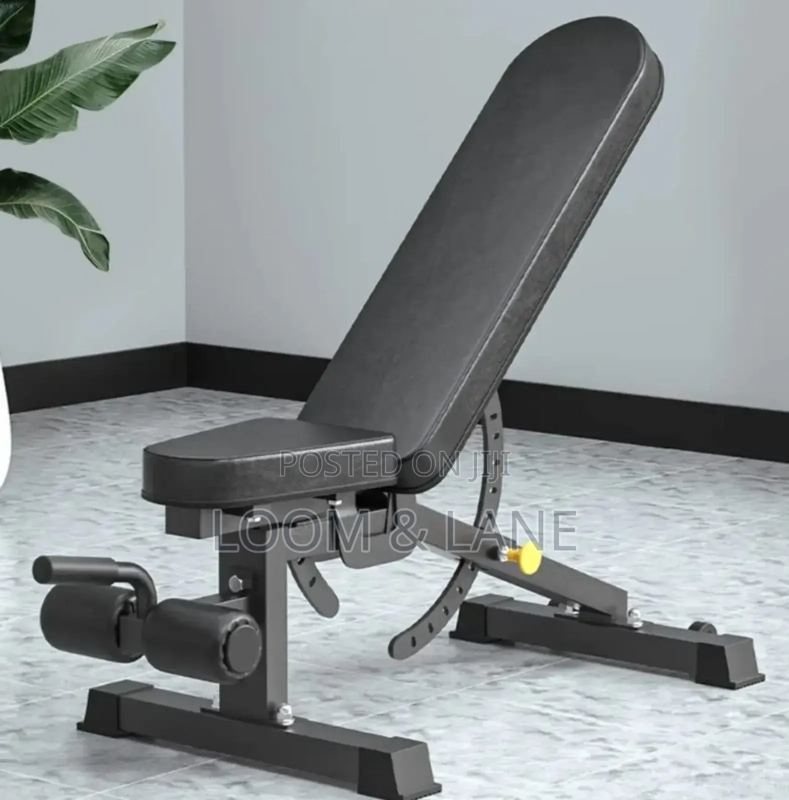 Clover Fitness T14 Pro Adjustable Weight Bench in Black