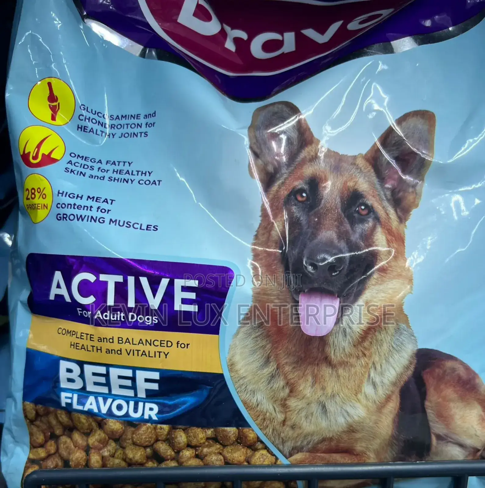 1+ year Male Purebred Dog