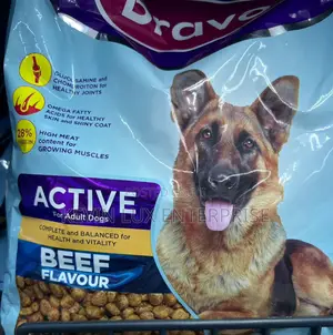 1+ year Male Purebred Dog