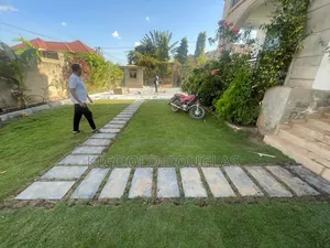 We Deal in All Landscaping Work
