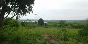 100 Acres of Land for Sale