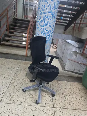 Executive Adjustable Office Chairs Office Chairs