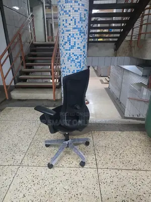 Executive Adjustable Office Chairs Office Chairs