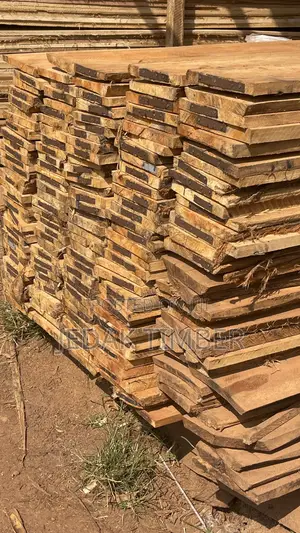 Timber for Construction