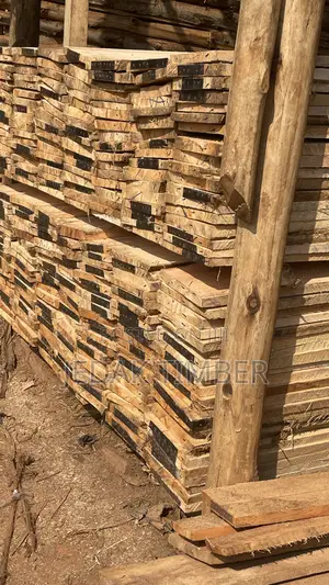 Timber for Construction
