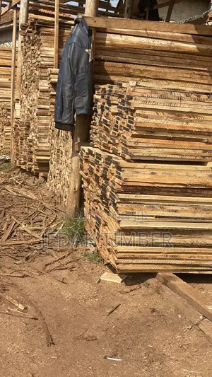 Timber for Construction