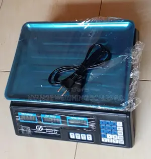Hot Sale Weigh Digital Weighing Scale Portable Counter Weighing Scale