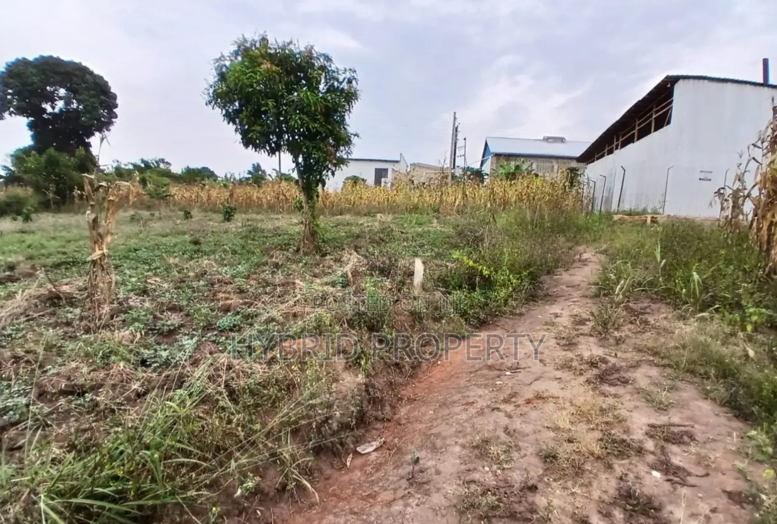Prime Plots For Sale At Namayumba~Kyanuuna Tarmac View Estate~Hoima Rd