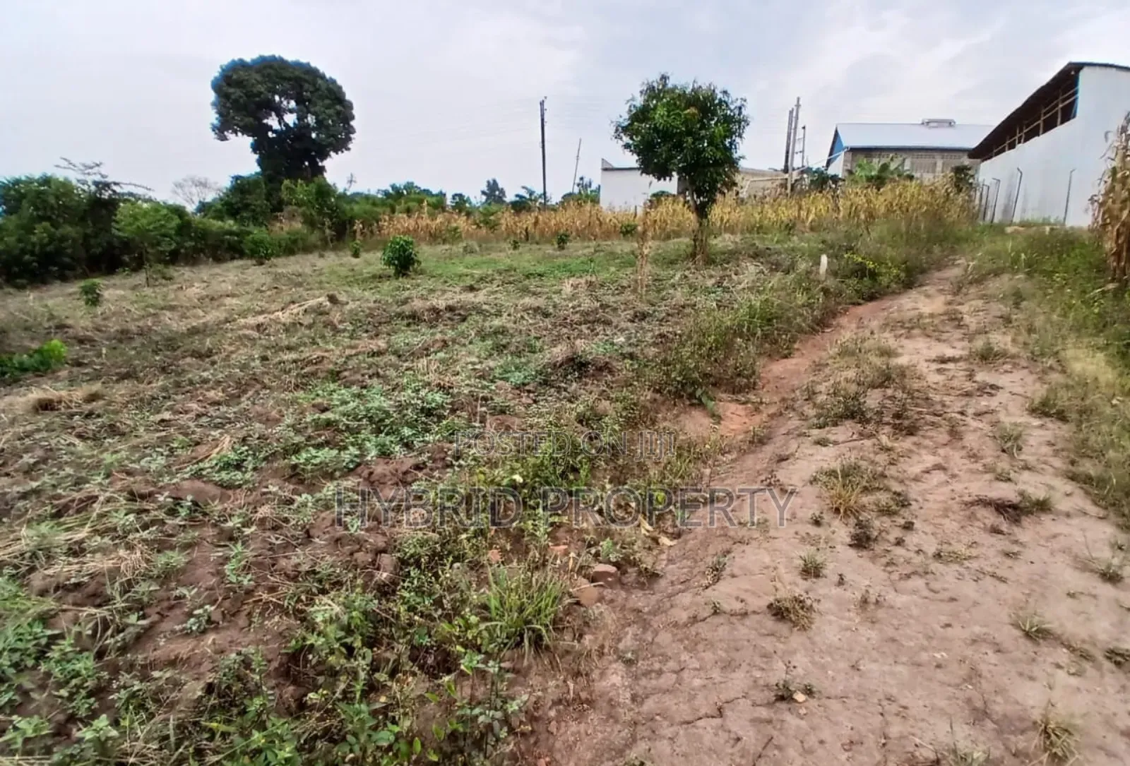Prime Plots For Sale At Namayumba~Kyanuuna Tarmac View Estate~Hoima Rd