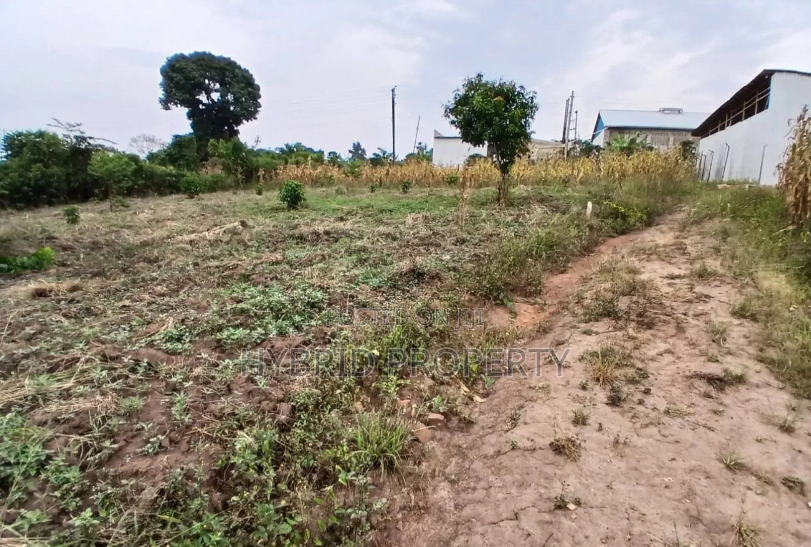 Prime Plots For Sale At Namayumba~Kyanuuna Tarmac View Estate~Hoima Rd