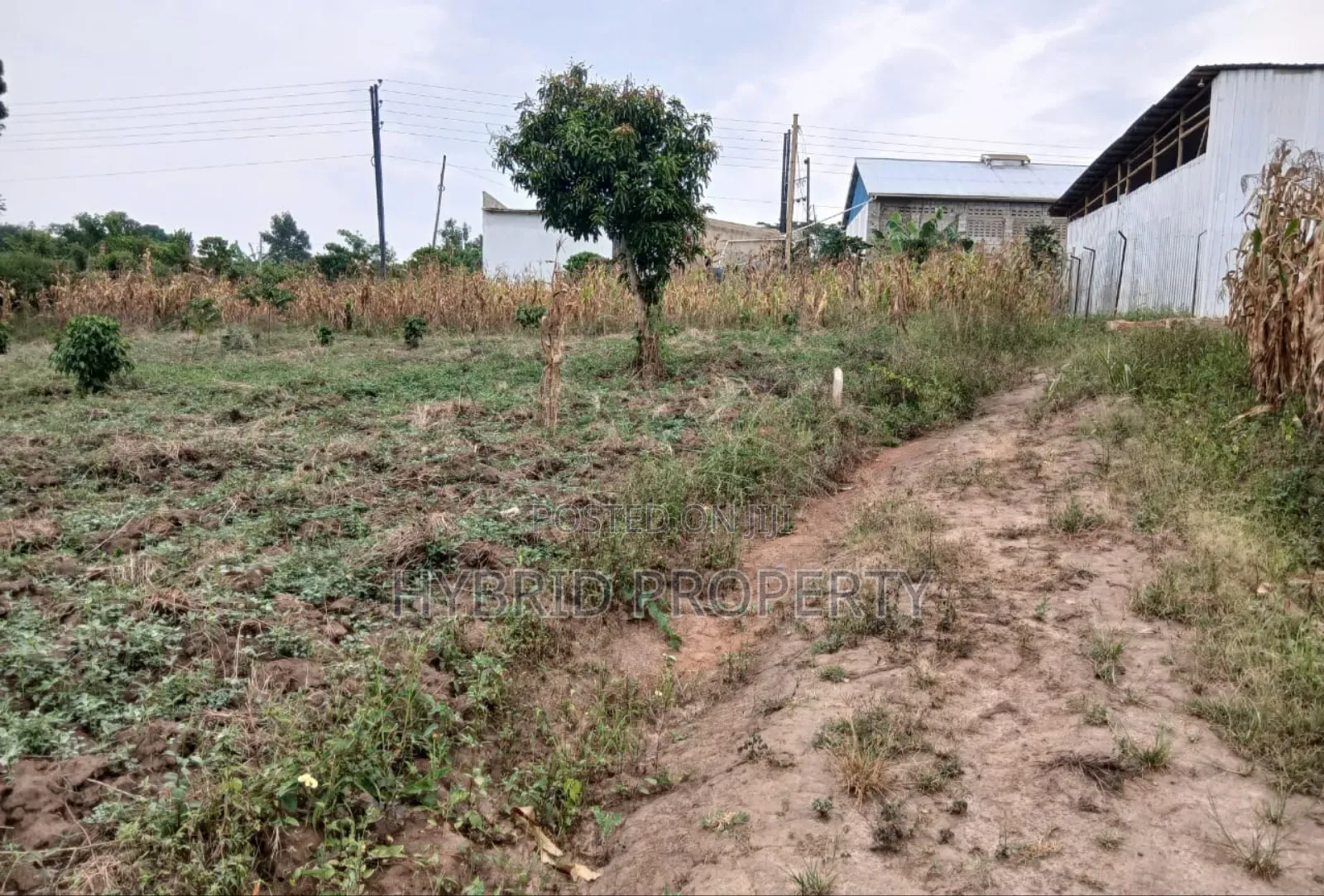 Prime Plots For Sale At Namayumba~Kyanuuna Tarmac View Estate~Hoima Rd