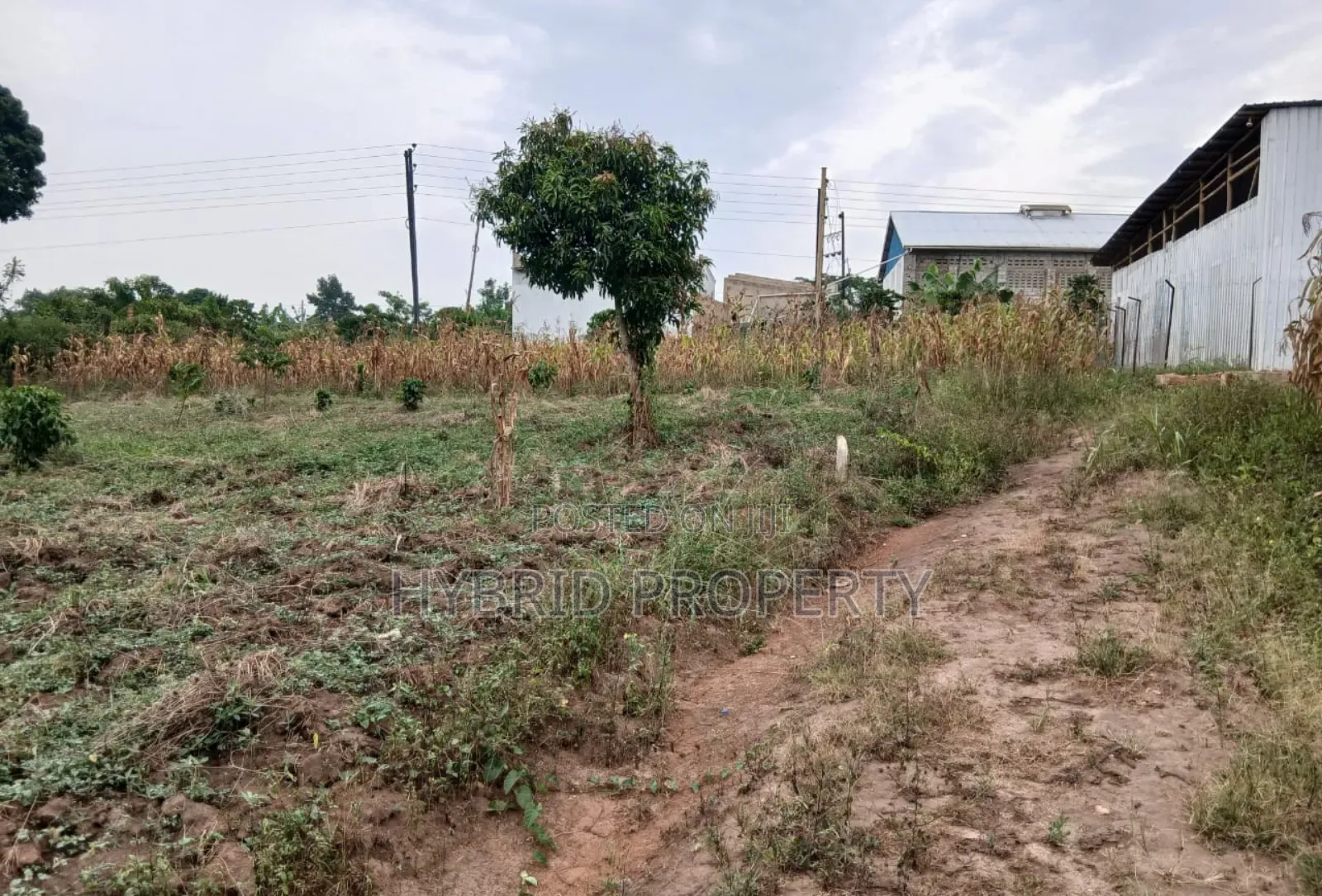 Prime Plots For Sale At Namayumba~Kyanuuna Tarmac View Estate~Hoima Rd