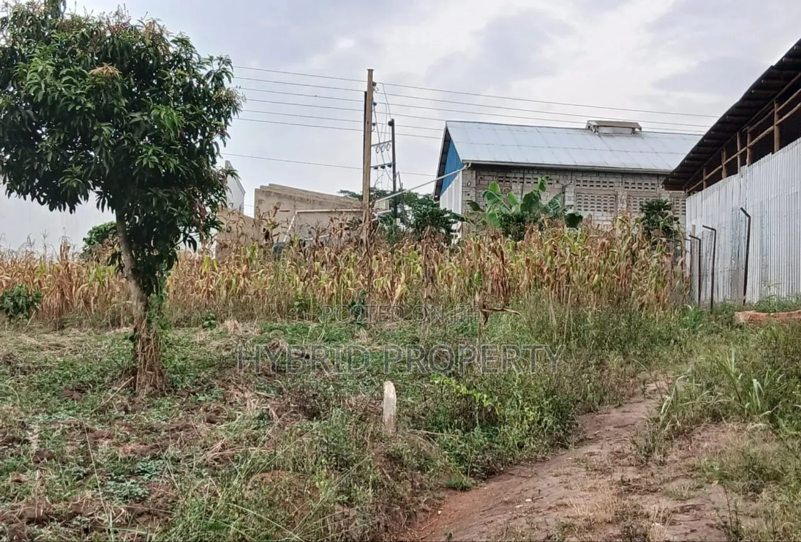 Prime Plots For Sale At Namayumba~Kyanuuna Tarmac View Estate~Hoima Rd