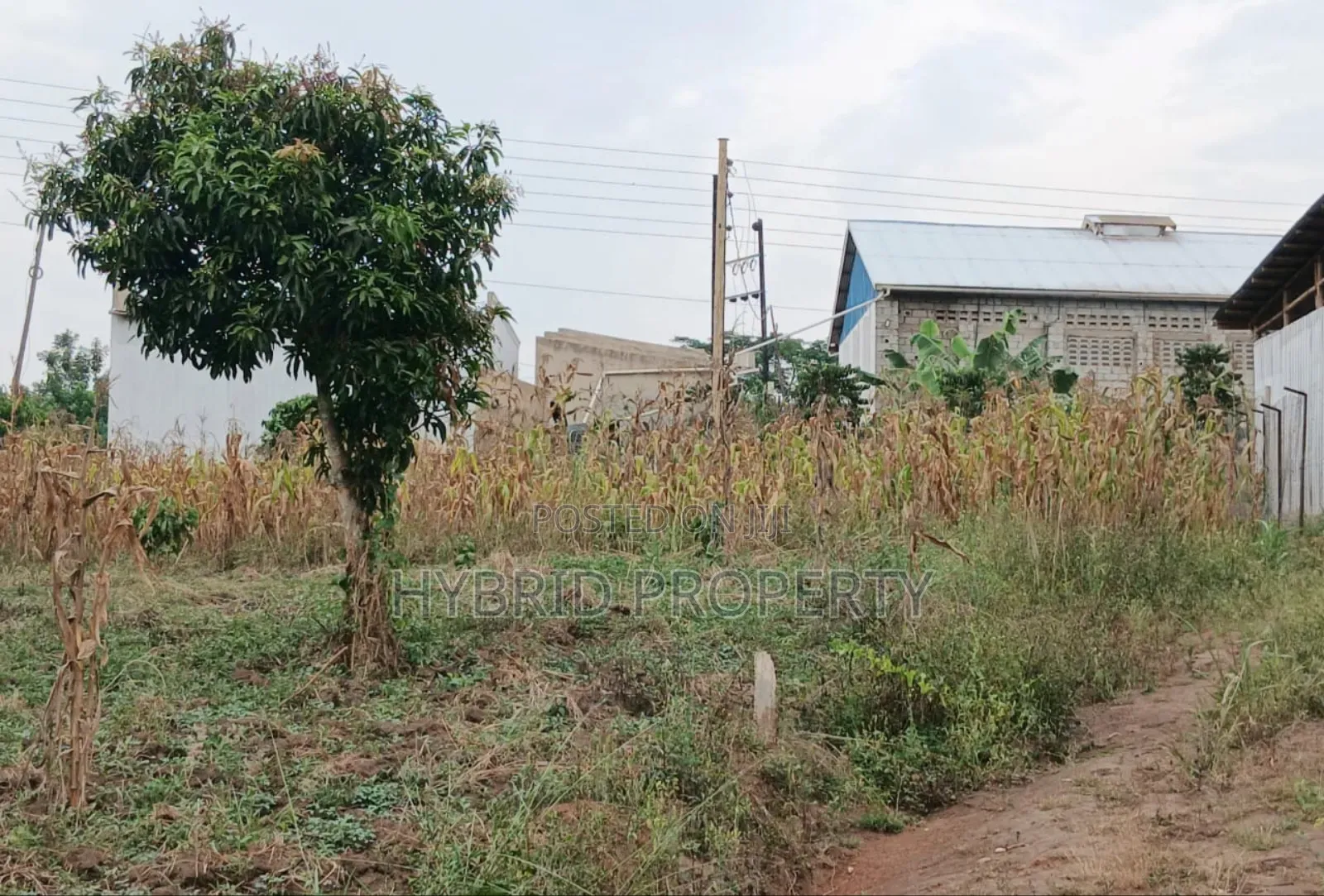 Prime Plots For Sale At Namayumba~Kyanuuna Tarmac View Estate~Hoima Rd
