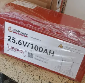 25.6v 100ah Gopower Lithium Batteries