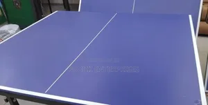 Ping Pong Table