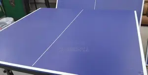 Ping Pong Table
