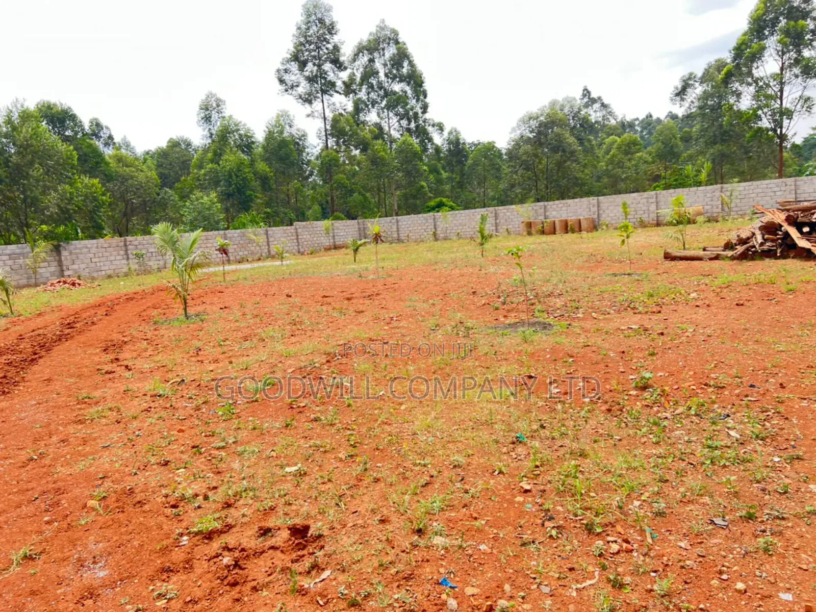 50 by 100 Plot of Land in Kira Mamerito Road