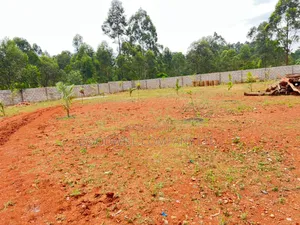 50 by 100 Plot of Land in Kira Mamerito Road