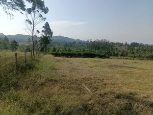 6 Acres of Land in Bukerere Namasiga Namugongo Toad