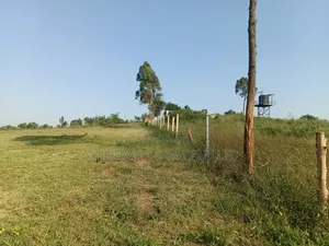 6 Acres of Land in Bukerere Namasiga Namugongo Toad
