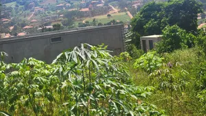22 Decimals Plot of Land in Lumuli Kitende Entebbe Road