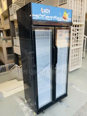 Free Standing 600l Showcase Display Refrigerator