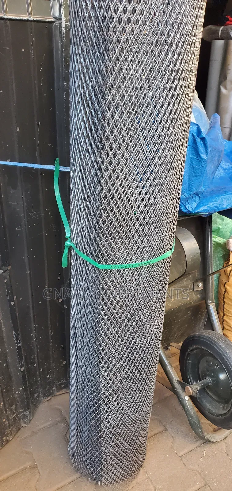 Ms Expanded Net