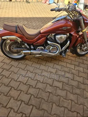 Suzuki 2019 Brown