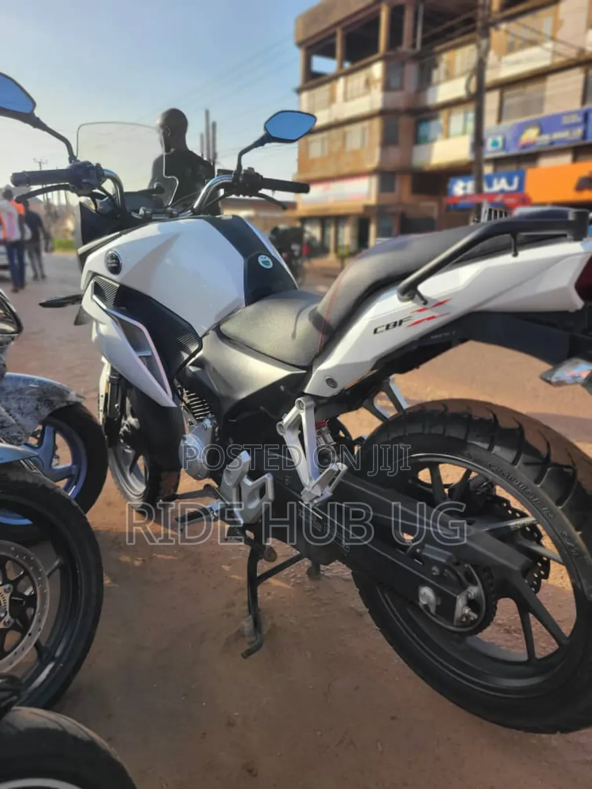 Honda 2024 White