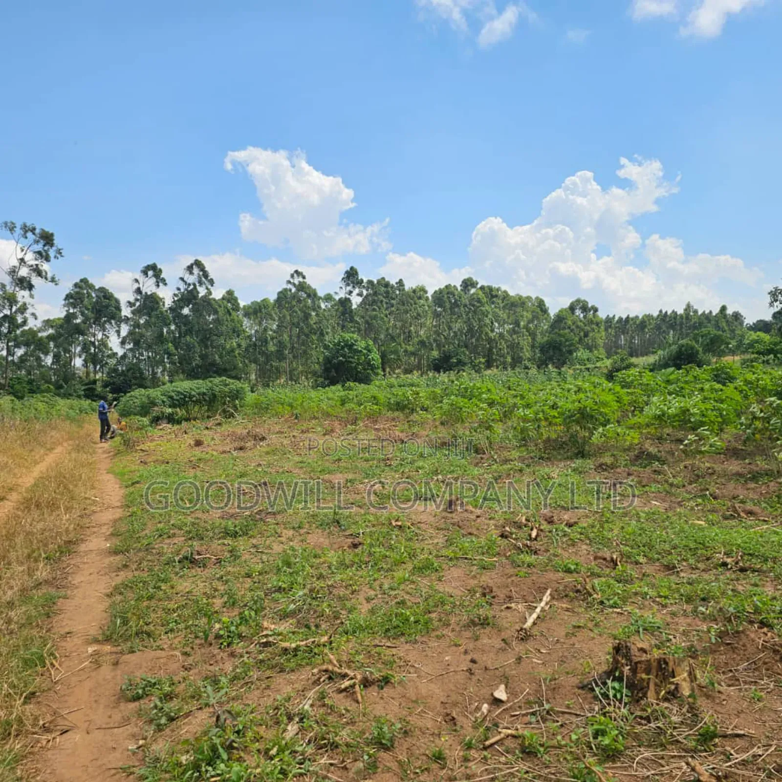 Namanve Industrial Park 6.6 Arces