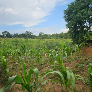 Namanve Industrial Park 6.6 Arces