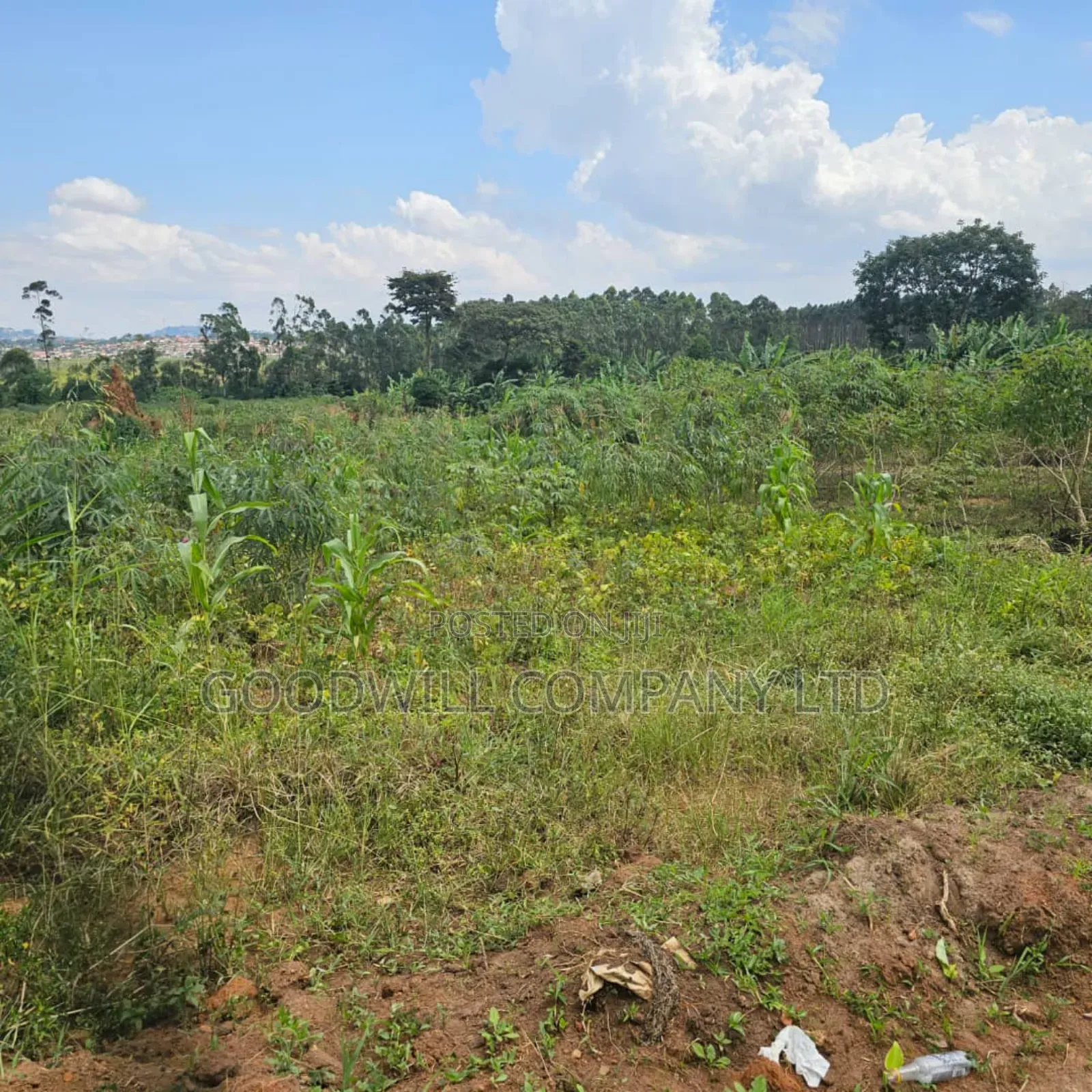Namanve Industrial Park 6.6 Arces
