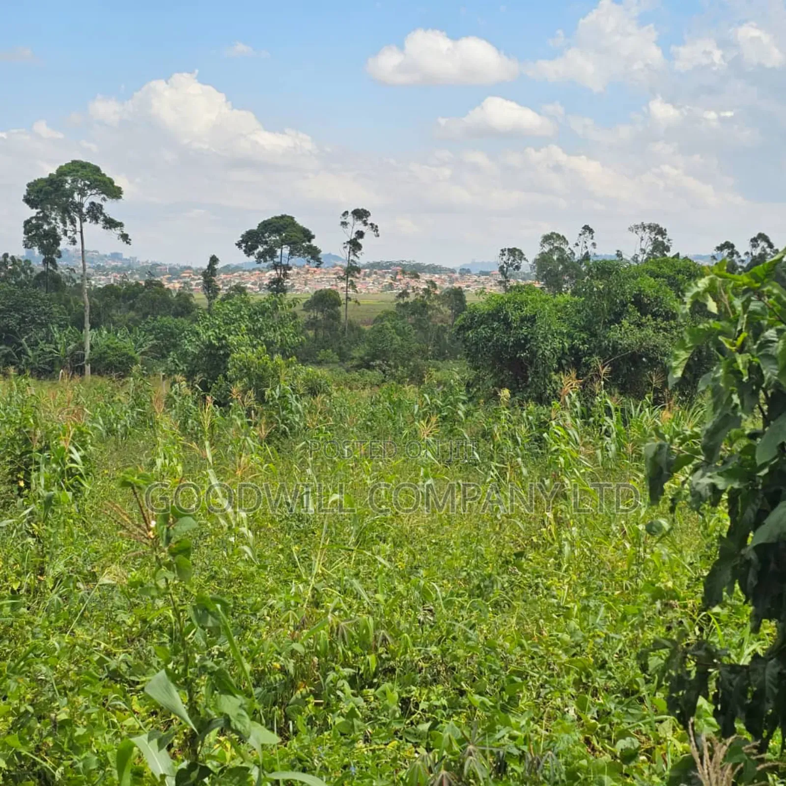 Namanve Industrial Park 6.6 Arces