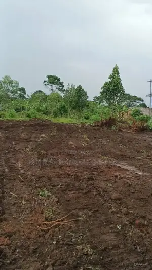 Prime Plots In Mukono Kikandwa (Kayunga Road)