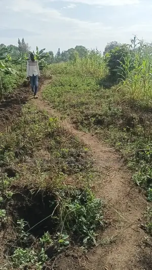 Prime Plots In Mukono Kikandwa (Kayunga Road)