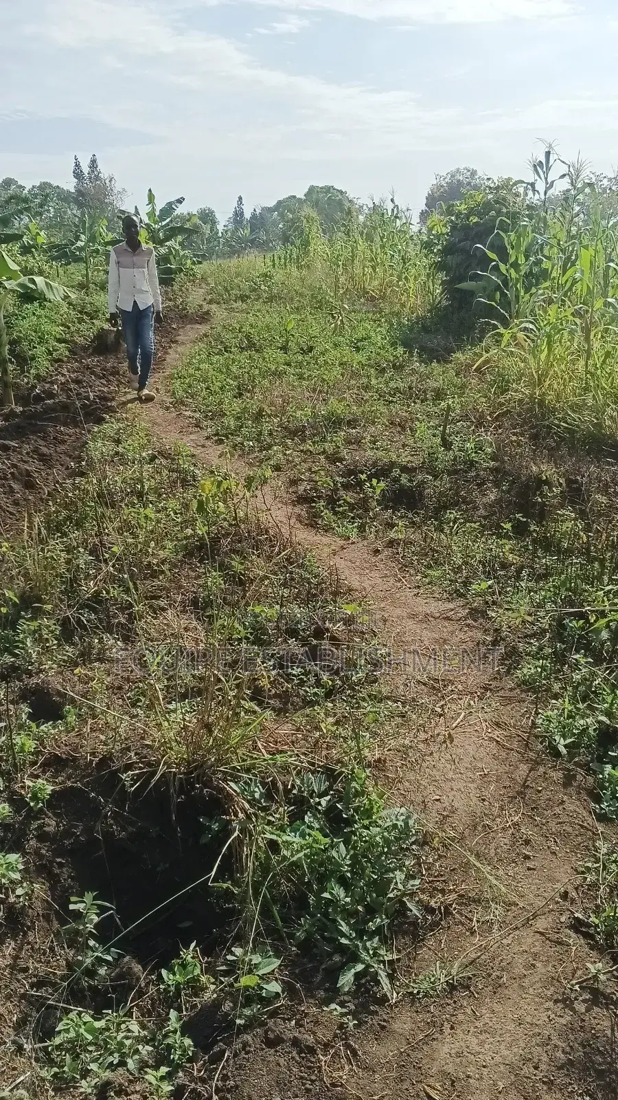Prime Plots In Mukono Kikandwa (Kayunga Road)