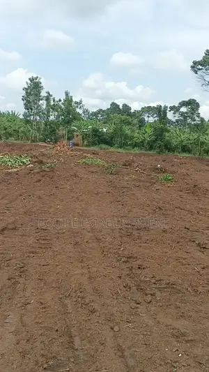 Prime Plots In Mukono Kikandwa (Kayunga Road)