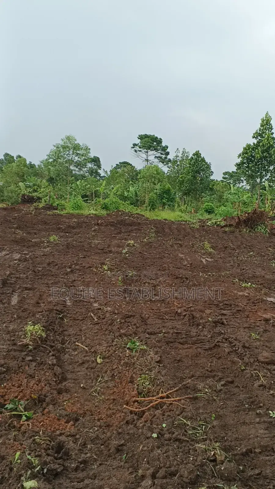 Prime Plots In Mukono Kikandwa (Kayunga Road)