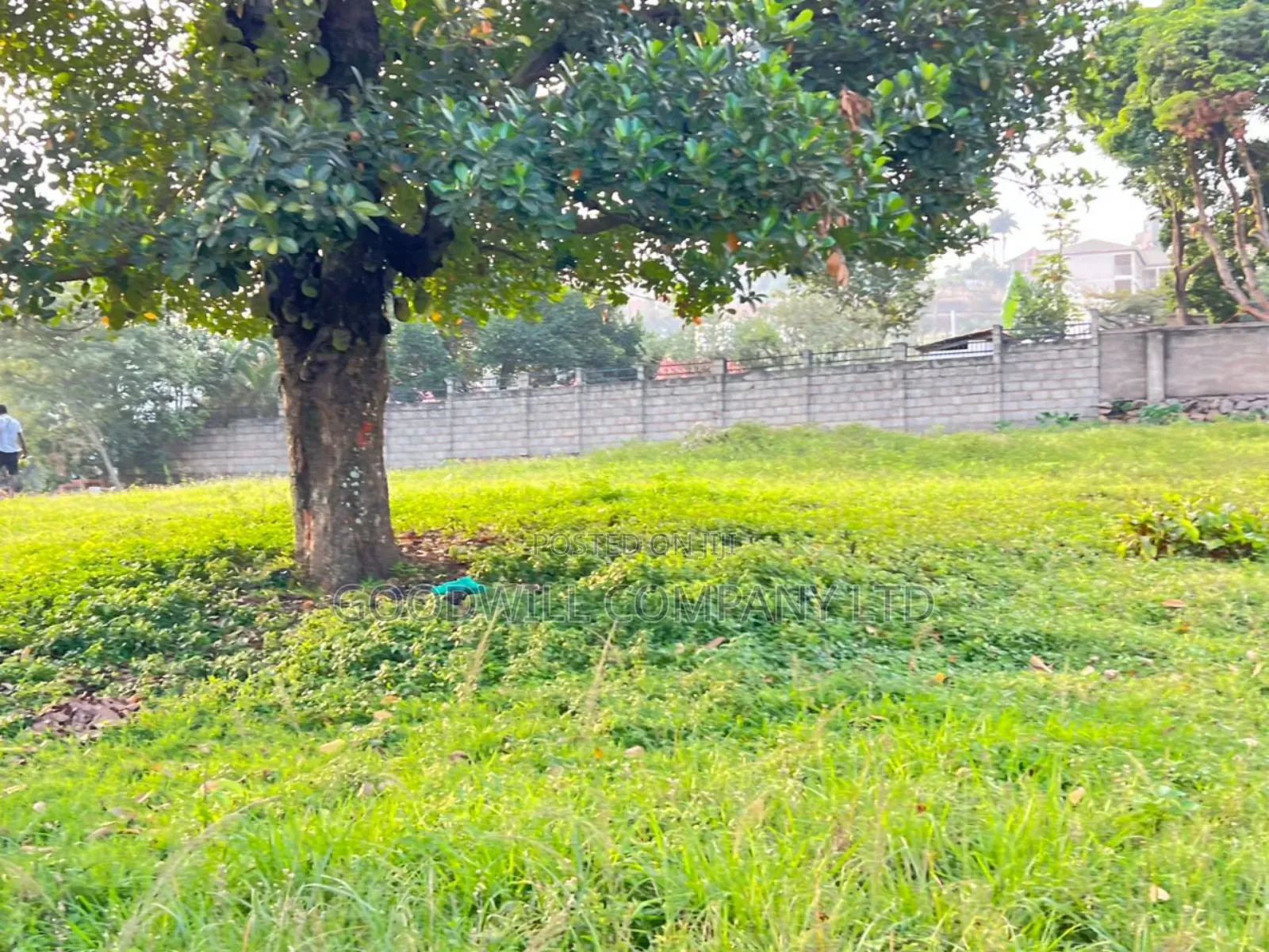 20 Decimals (2plots) of Land in Kisasi Kulambiro