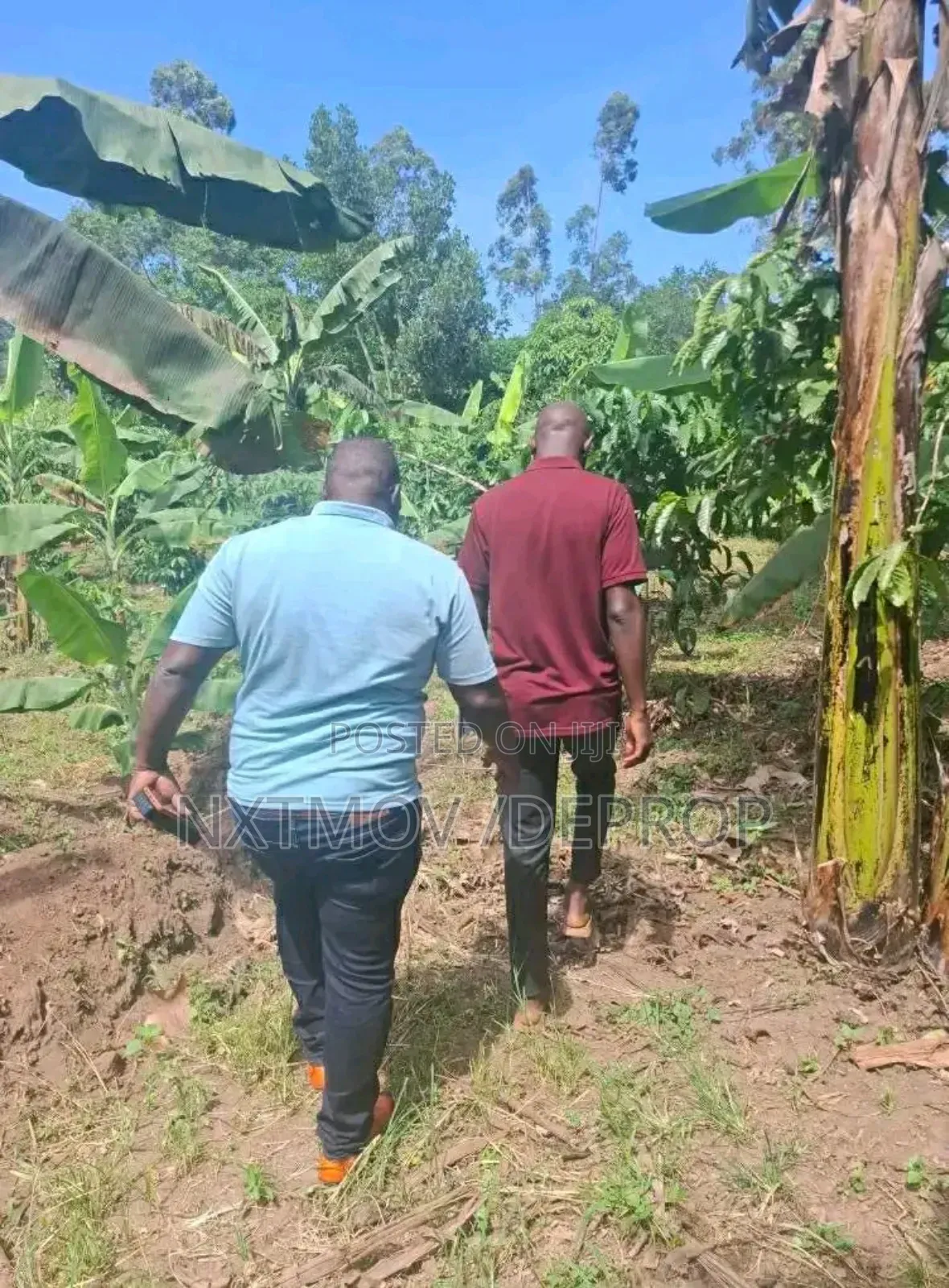 Farm Land for Sale