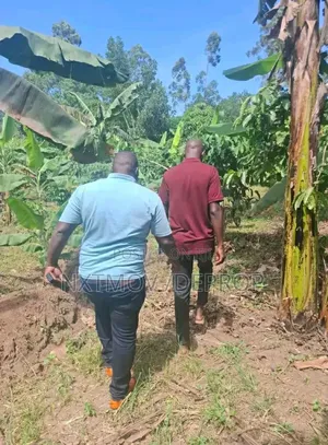 Farm Land for Sale