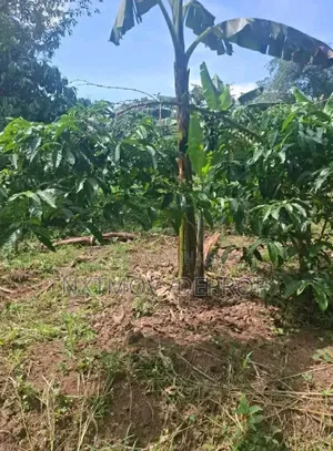 Farm Land for Sale