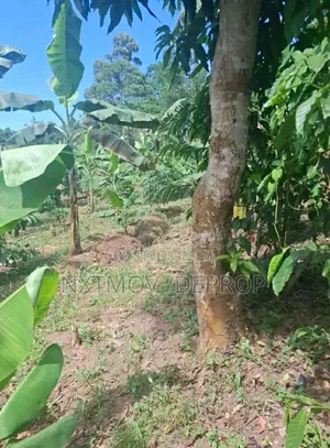 Farm Land for Sale